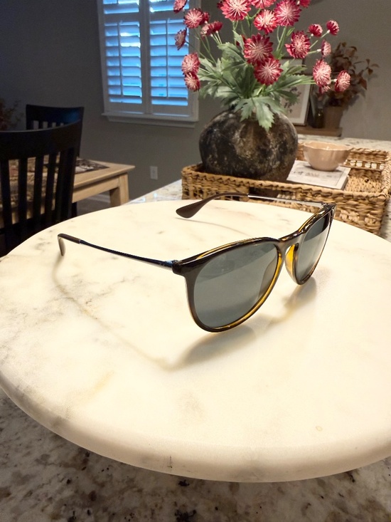 Erika Rayban Sunglasses main image 4